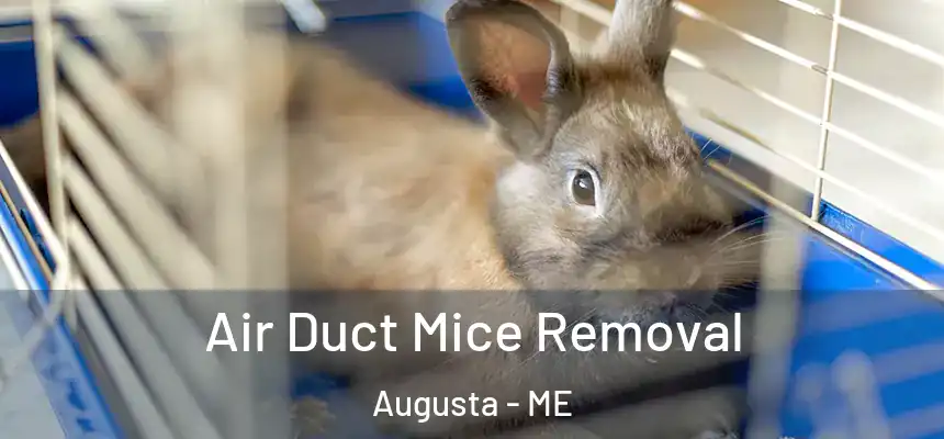  Air Duct Mice Removal Augusta - ME