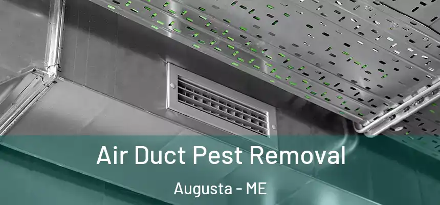  Air Duct Pest Removal Augusta - ME