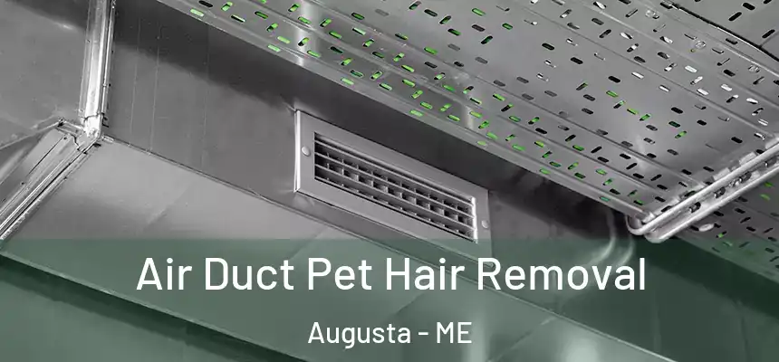 Air Duct Pet Hair Removal Augusta - ME