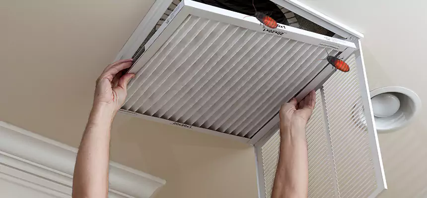 Preventive Cockroach-Proofing for Ducts in Augusta