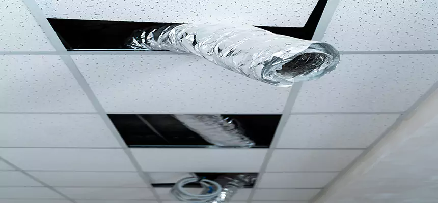 Our Air Duct Pet Hair Removal Services in Augusta, ME