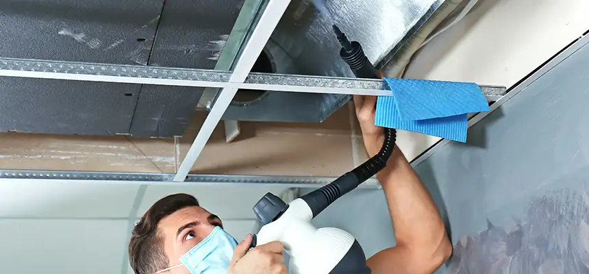 Our Air Duct Rodent Removal Services in Augusta, ME