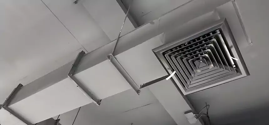 Our Rodent Droppings In Vents Services in Augusta, ME