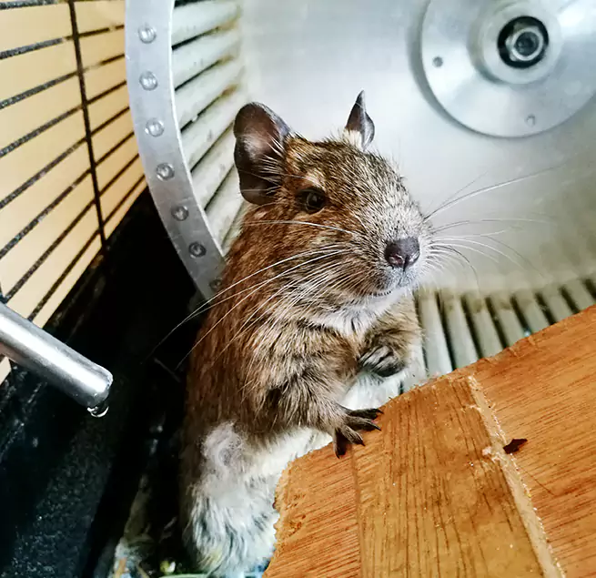 Why Homeowners & Businesses Trust Us Augusta, ME