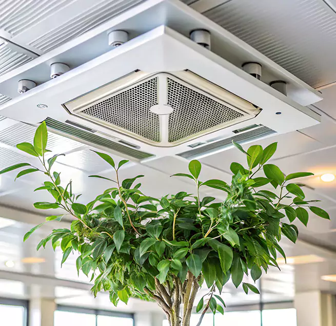 Why Homeowners & Businesses Trust Us in Augusta, ME?